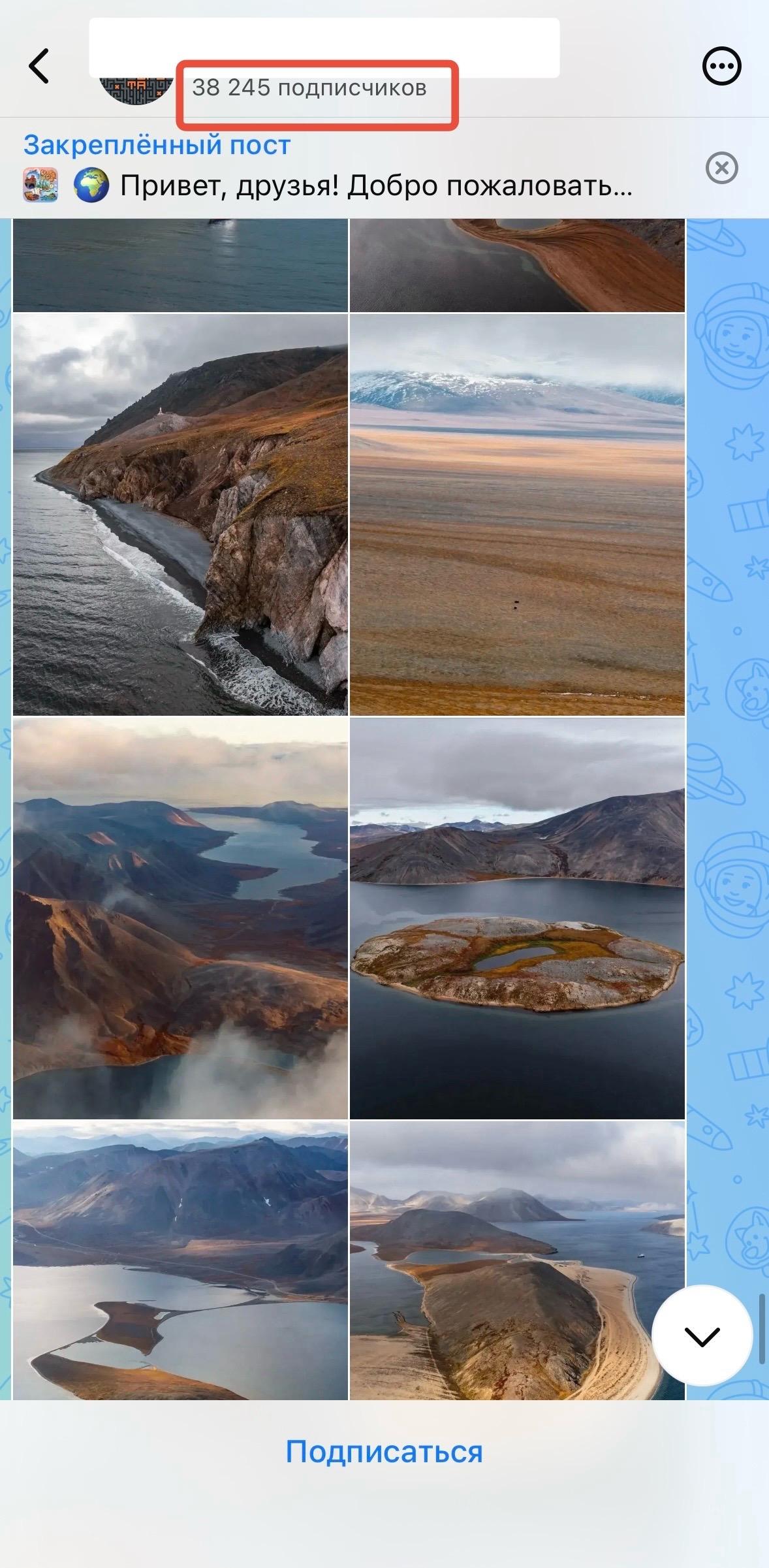 купить бота в max на сайте