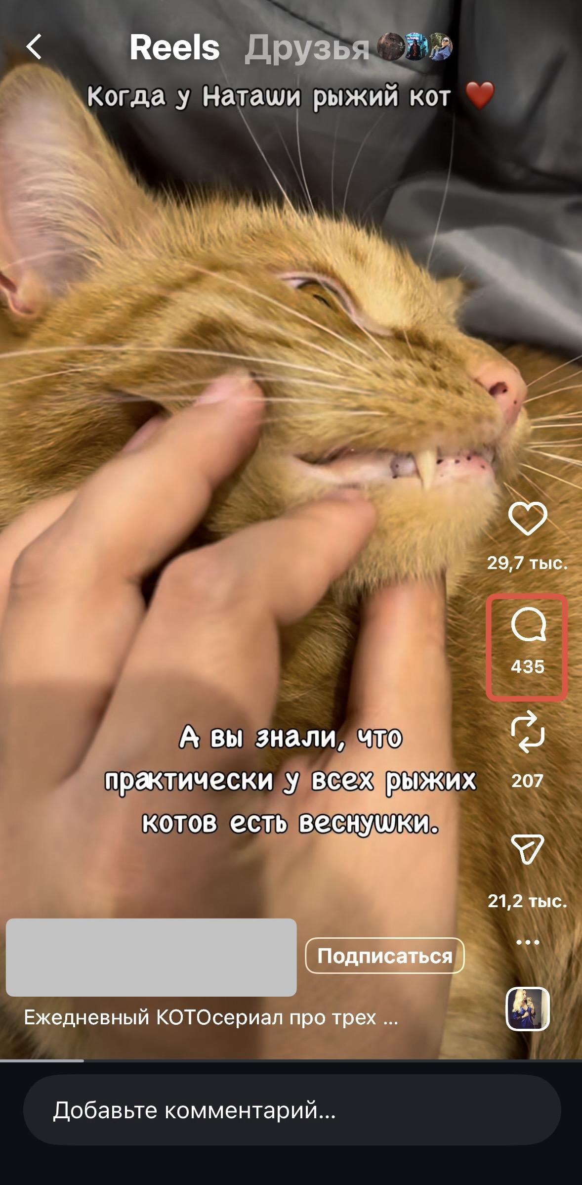 накрутка комментариев инста бесплатно