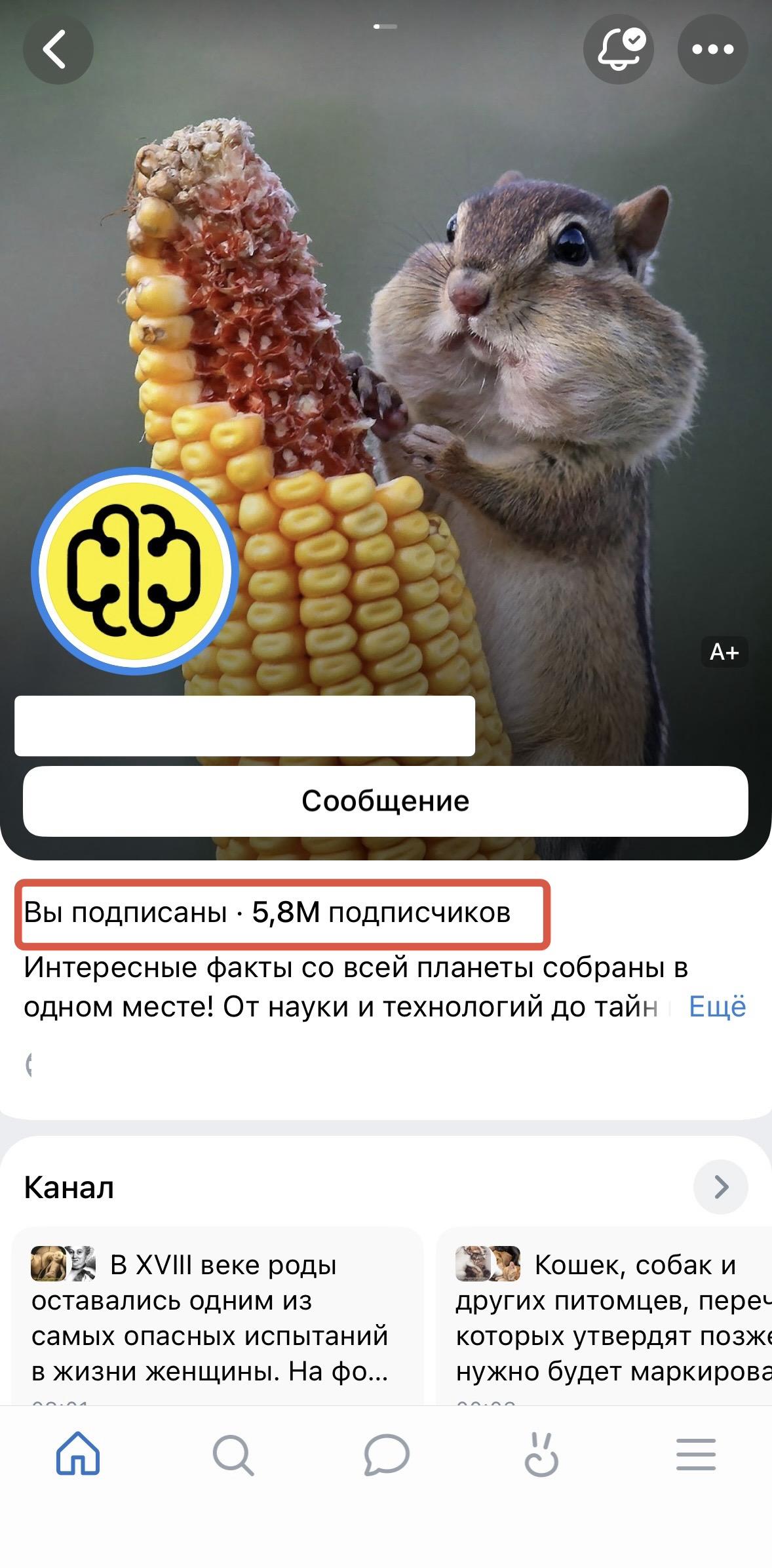 бесплатная накрутка вк подписчиков