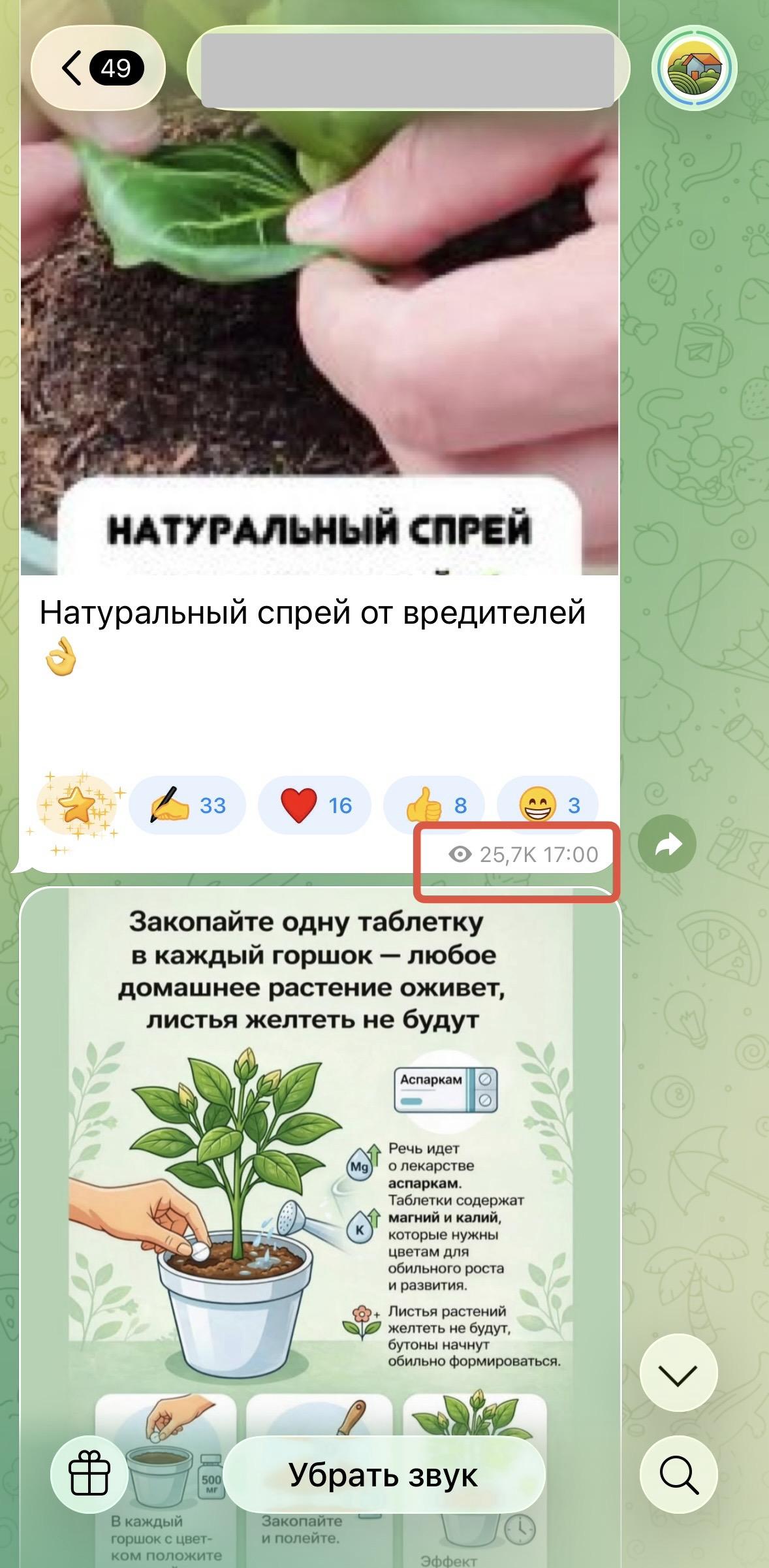 накрутить просмотры в тг канале бесплатно