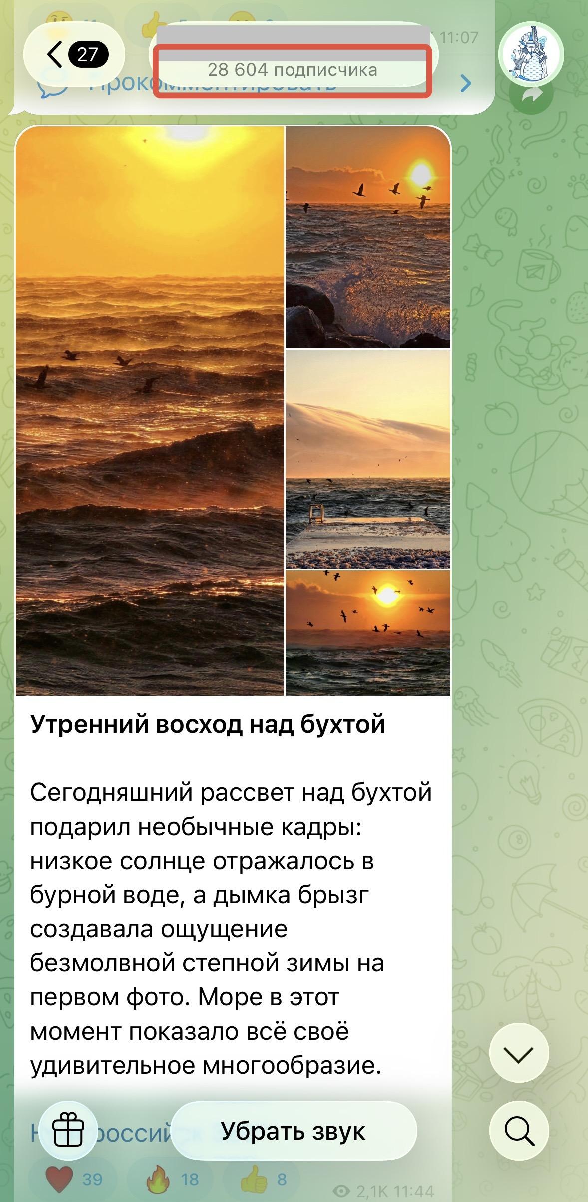 накрутка подписчиков в тг бесплатно