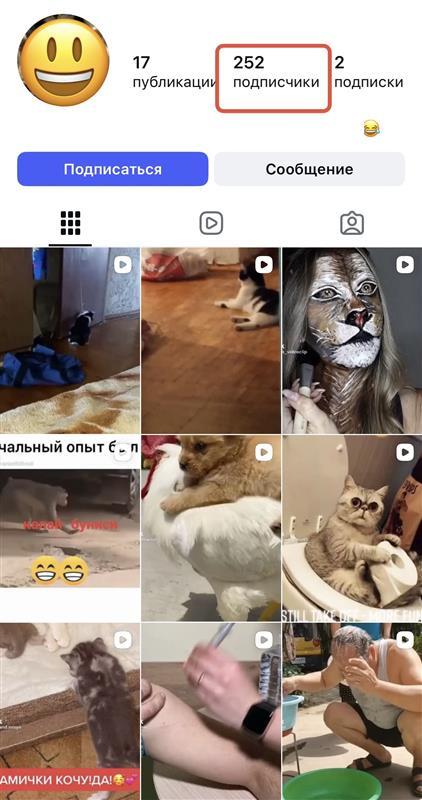 накрутка подписчиков инстаграм бесплатно