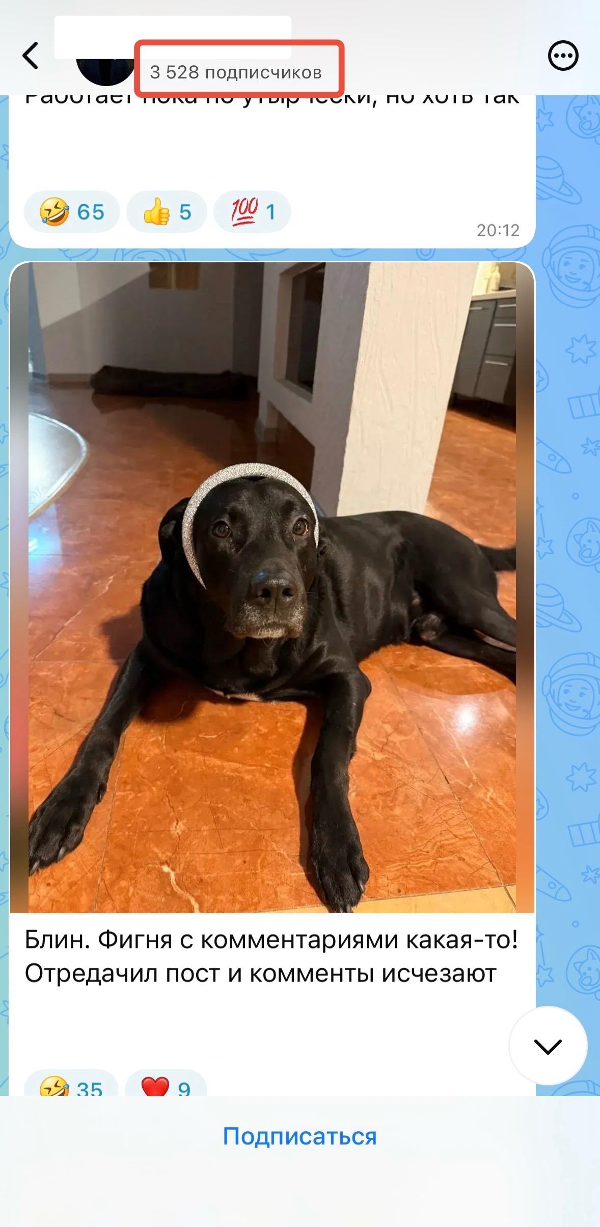 сколько подписчиков в максе