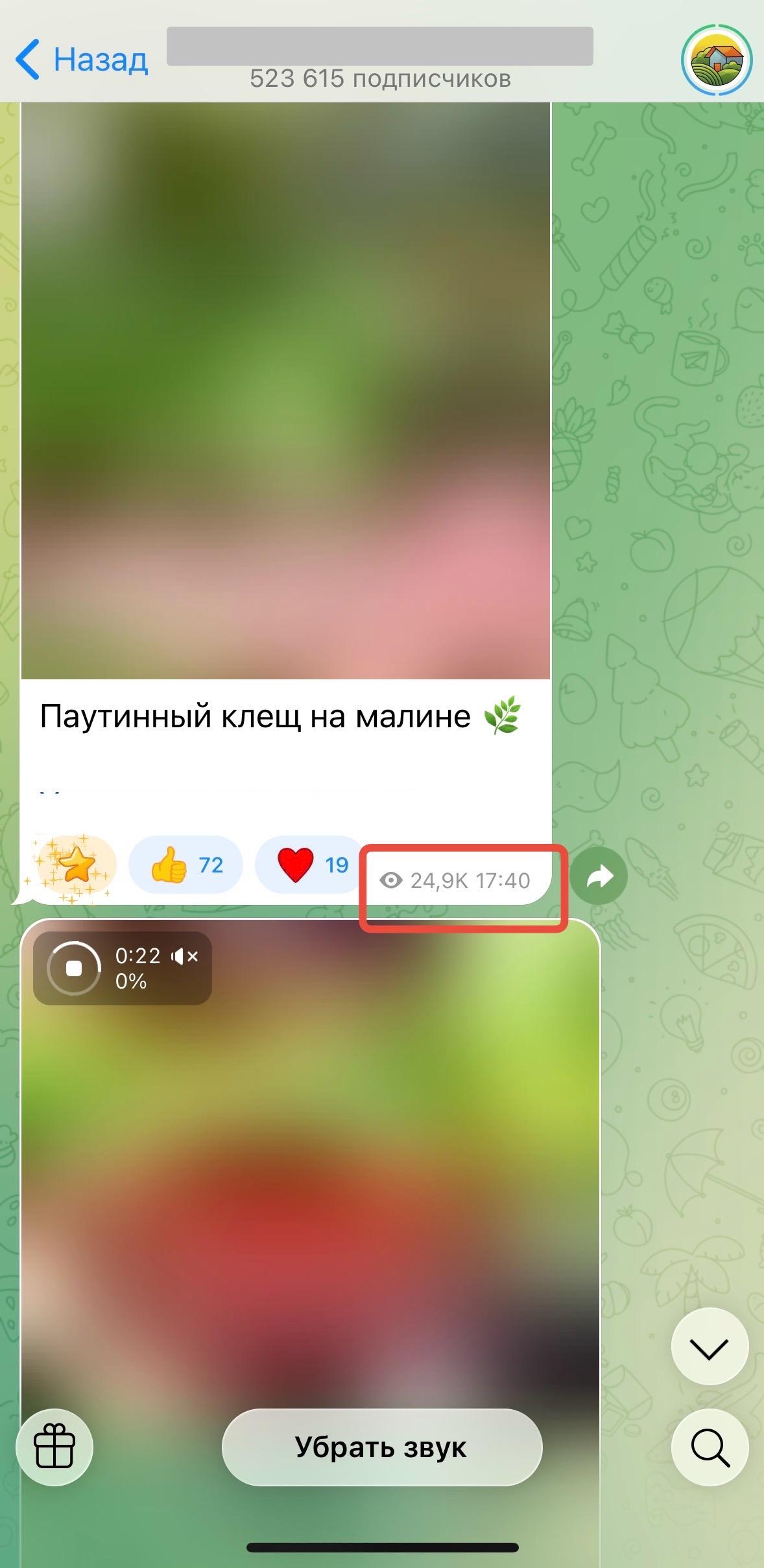 накрутка просмотров телеграмм