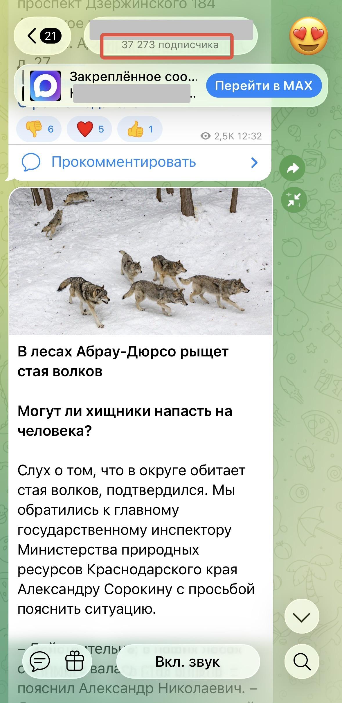 накрутка подписчиков в телеграмме бесплатно