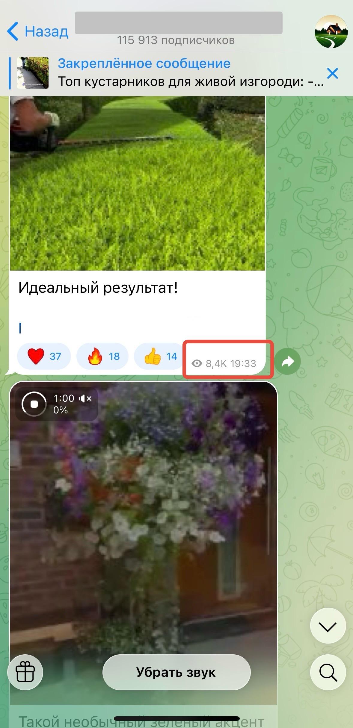 накрутить просмотры на пост в тг