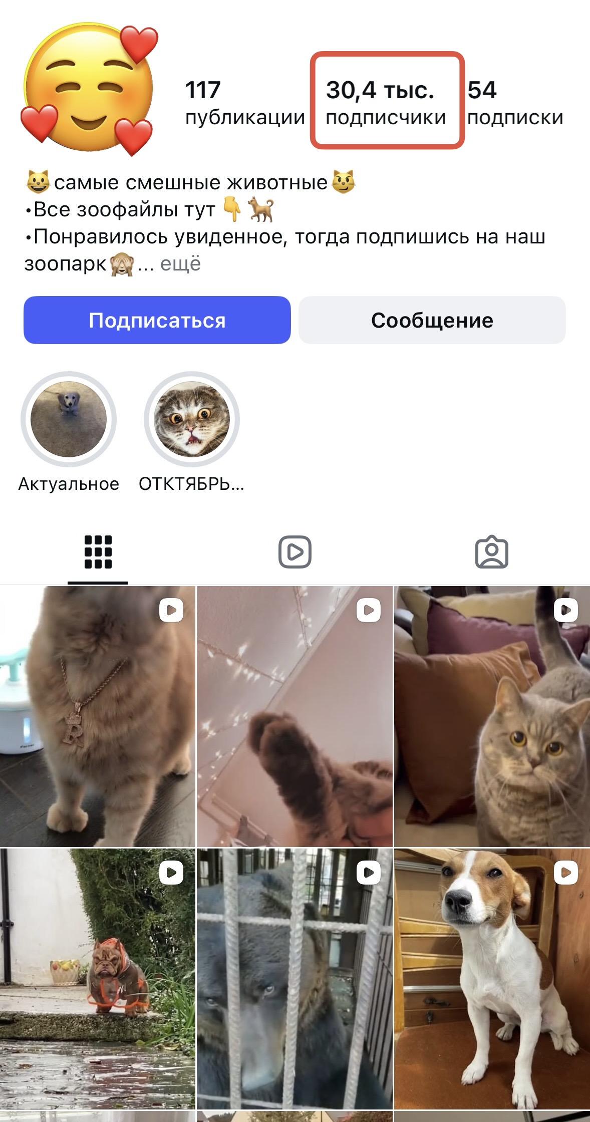 накрутить подписчиков в инстаграме бесплатно