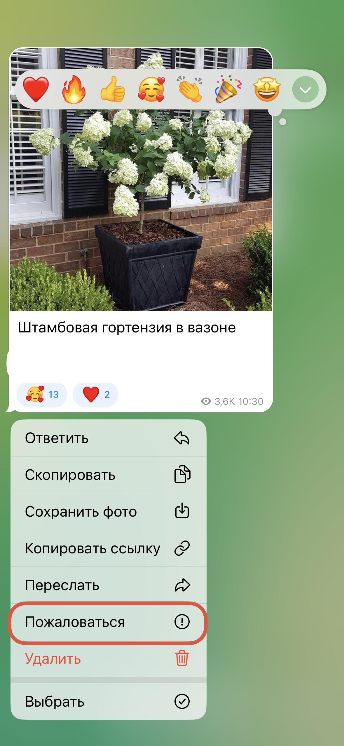 массовая накрутка жалоб в тгк