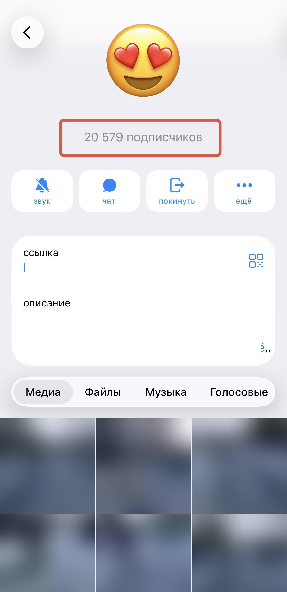 накрутка подписчиков в тгк бесплатно