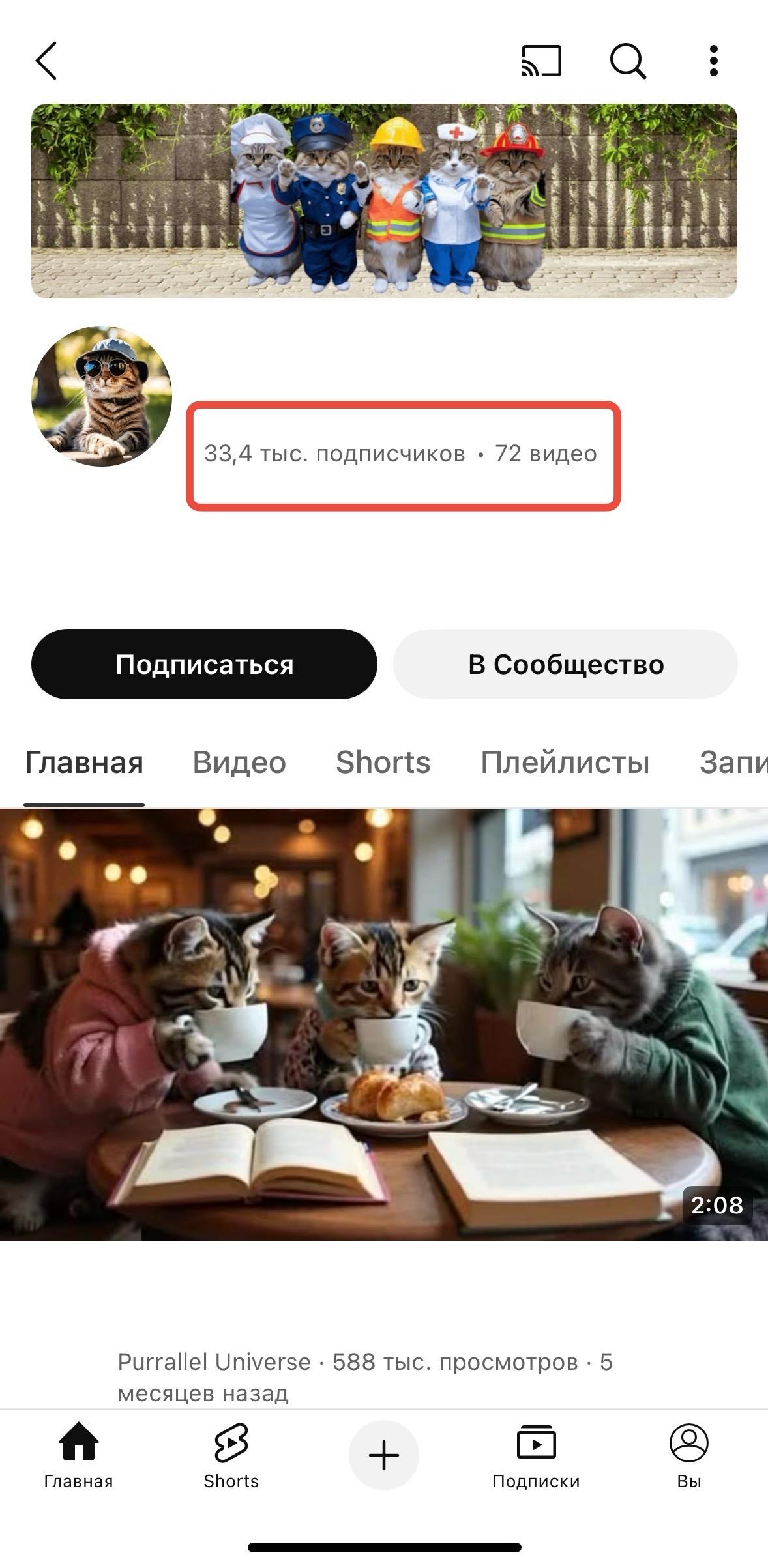 купить ботов youtube