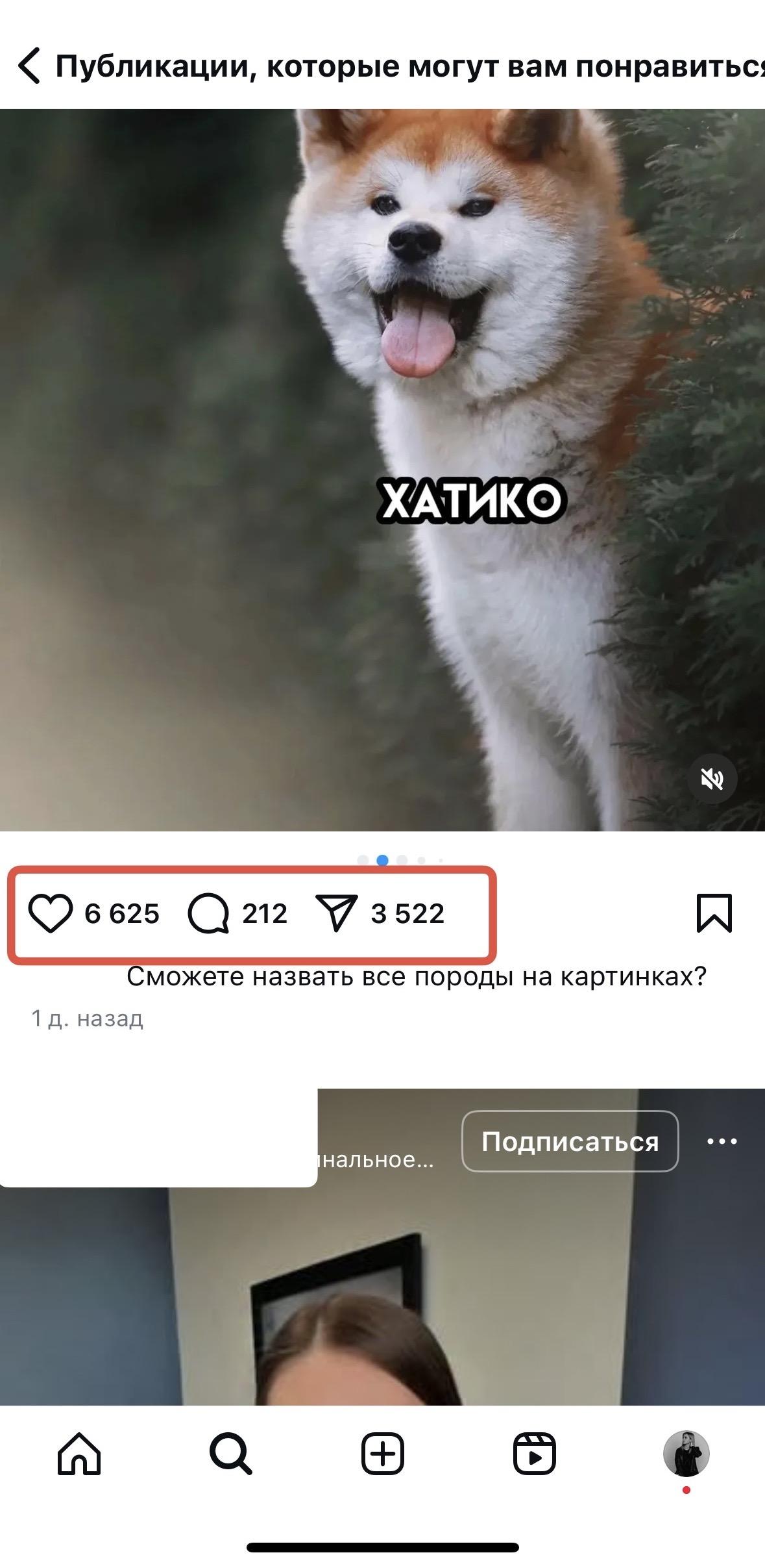 заказать комментарии в инстаграм