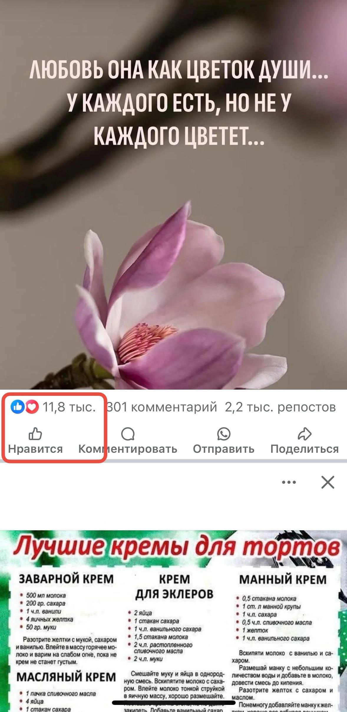 накрутить в facebook нравится