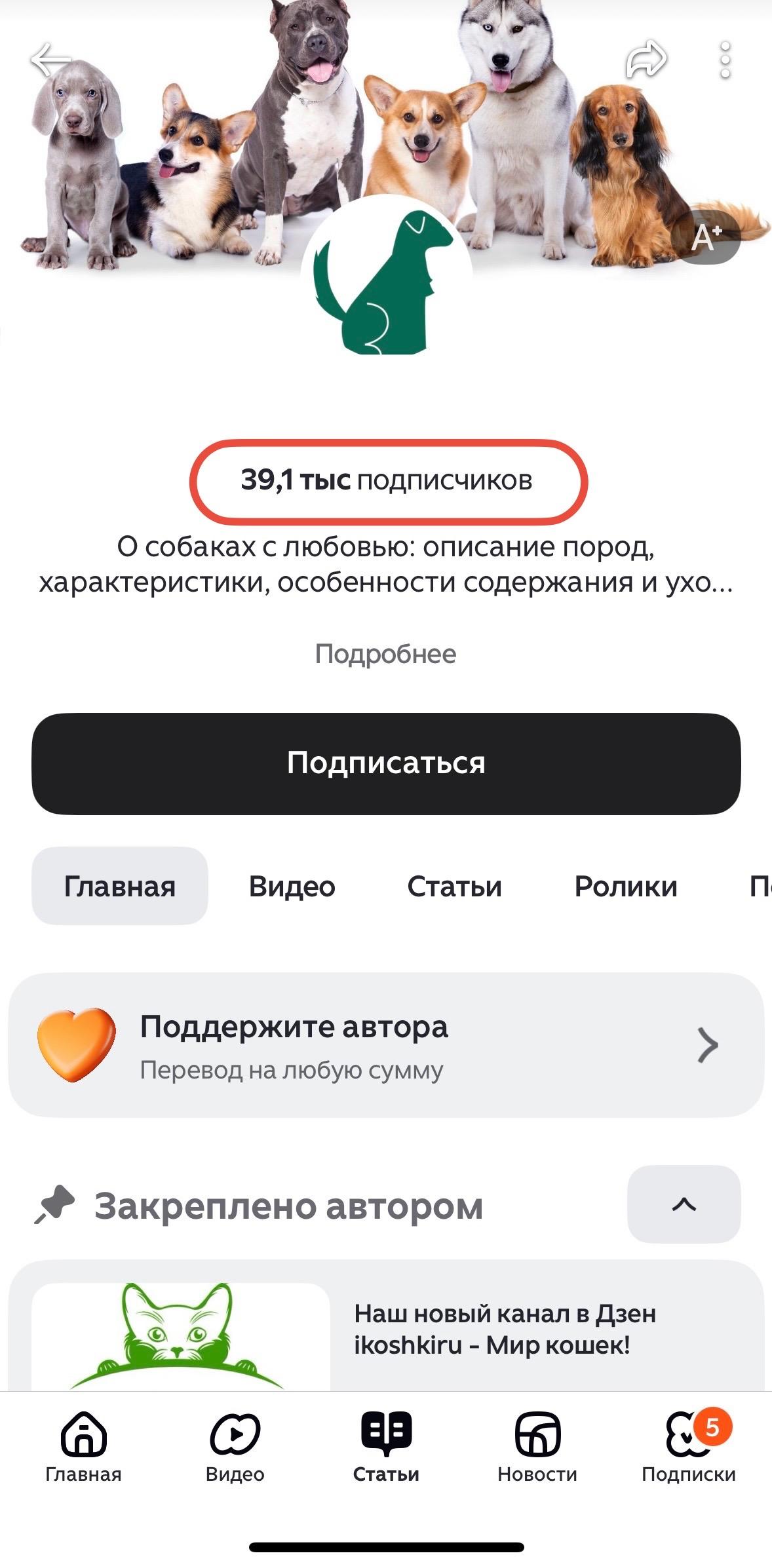 накрутить подписчиков дзен бесплатно